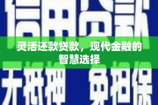 岭东灵活还款贷款，现代金融的智慧选择