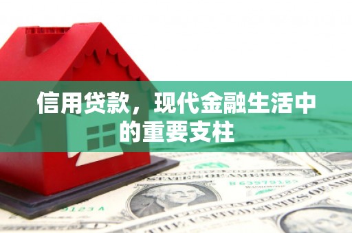 岭东信用贷款，现代金融生活中的重要支柱