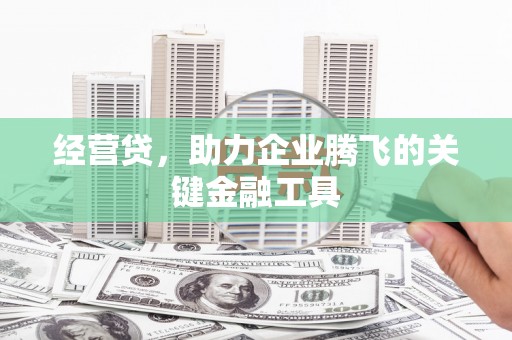 岭东经营贷，助力企业腾飞的关键金融工具
