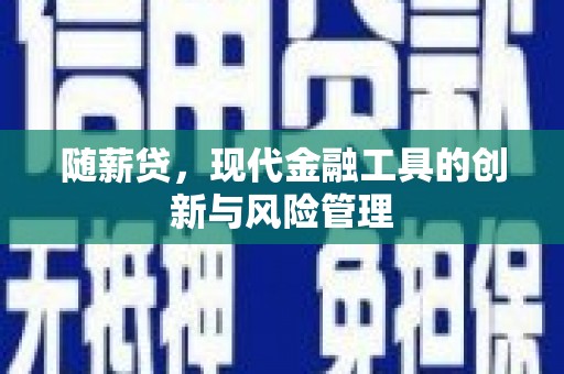 岭东随薪贷，现代金融工具的创新与风险管理