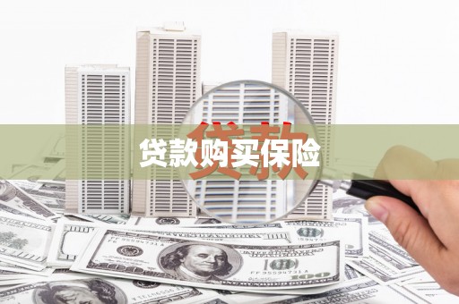 岭东贷款购买保险