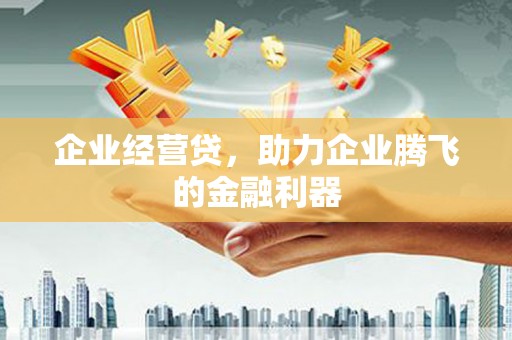岭东企业经营贷，助力企业腾飞的金融利器