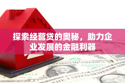 岭东探索经营贷的奥秘，助力企业发展的金融利器