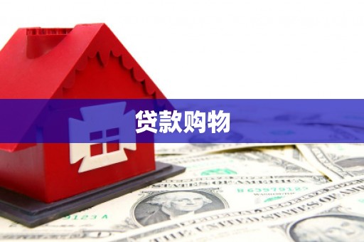 岭东贷款购物