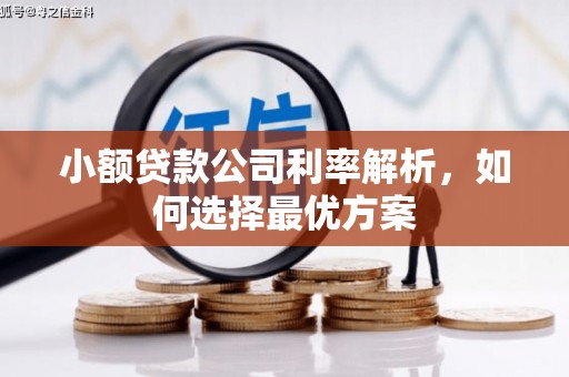 岭东小额贷款公司利率解析，如何选择最优方案