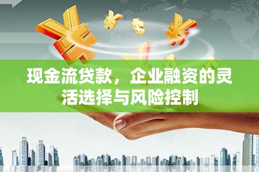 岭东现金流贷款，企业融资的灵活选择与风险控制