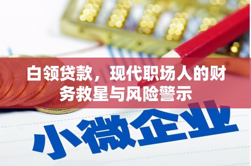 岭东白领贷款，现代职场人的财务救星与风险警示