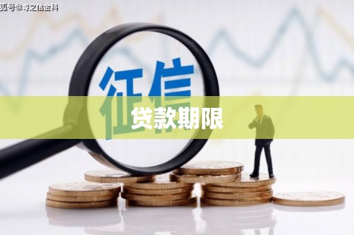 岭东贷款期限
