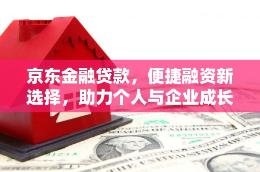 岭东京东金融贷款，便捷融资新选择，助力个人与企业成长