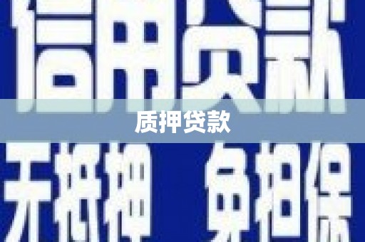 岭东质押贷款