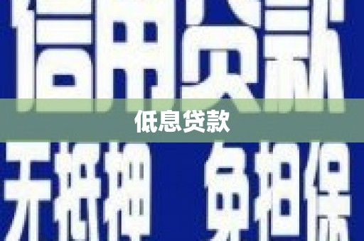 岭东低息贷款