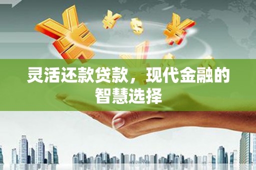 岭东灵活还款贷款，现代金融的智慧选择