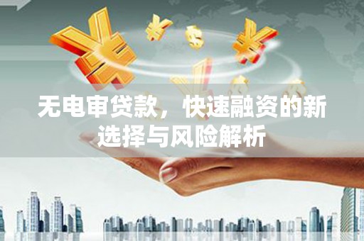 岭东无电审贷款，快速融资的新选择与风险解析