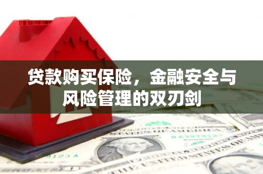 岭东贷款购买保险，金融安全与风险管理的双刃剑