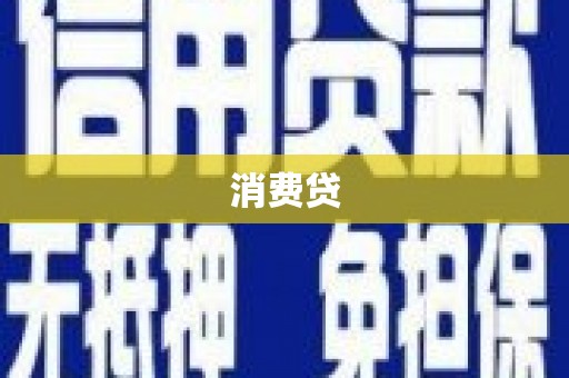 岭东消费贷