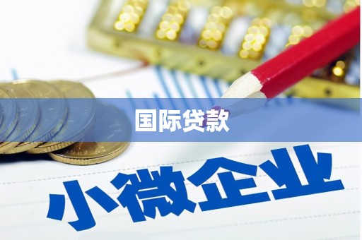 岭东国际贷款