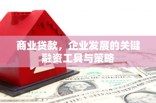 岭东商业贷款，企业发展的关键融资工具与策略