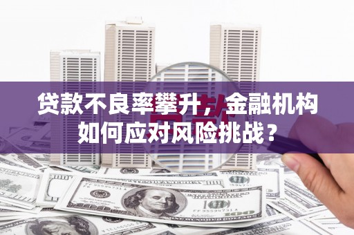 岭东贷款不良率攀升，金融机构如何应对风险挑战？