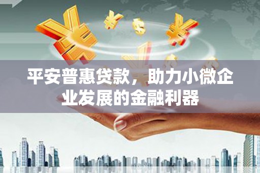 岭东平安普惠贷款，助力小微企业发展的金融利器
