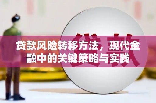 岭东贷款风险转移方法，现代金融中的关键策略与实践