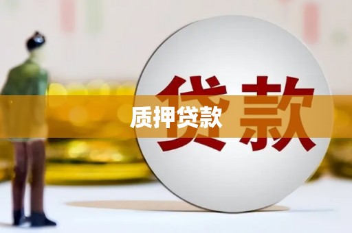 岭东质押贷款