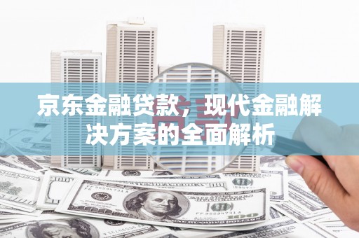 岭东京东金融贷款，现代金融解决方案的全面解析
