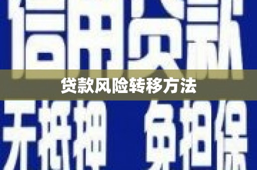 岭东贷款风险转移方法