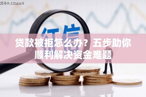 岭东贷款被拒怎么办？五步助你顺利解决资金难题