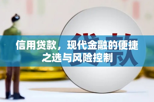 岭东信用贷款，现代金融的便捷之选与风险控制