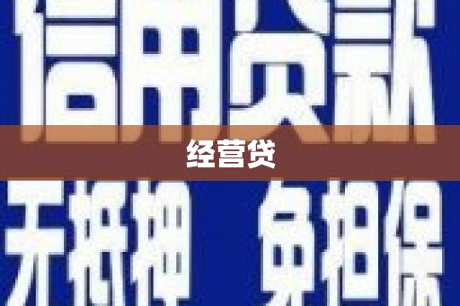 岭东经营贷