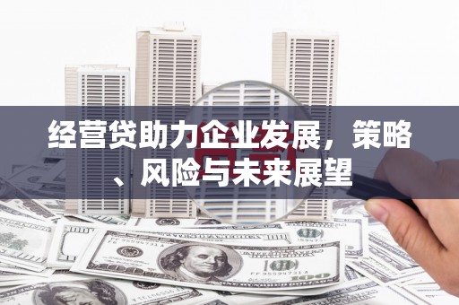 岭东经营贷助力企业发展，策略、风险与未来展望