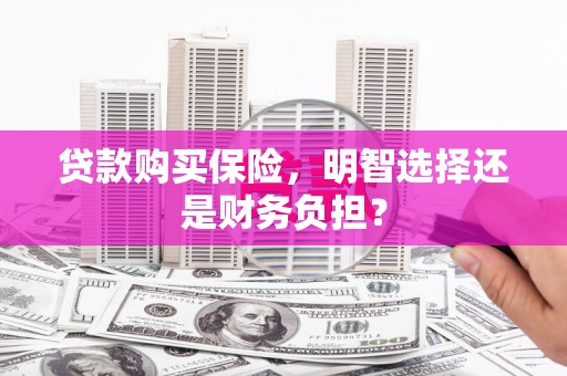 岭东贷款购买保险，明智选择还是财务负担？