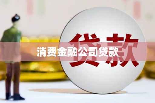 岭东消费金融公司贷款