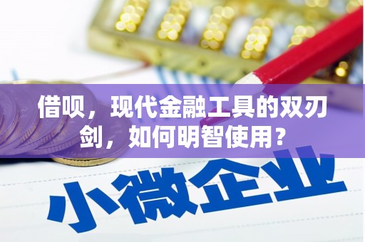 岭东借呗，现代金融工具的双刃剑，如何明智使用？
