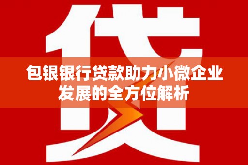 岭东包银银行贷款助力小微企业发展的全方位解析