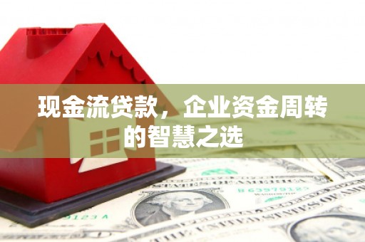 岭东现金流贷款，企业资金周转的智慧之选