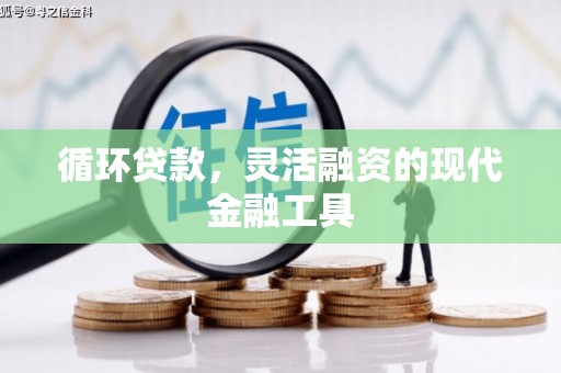岭东循环贷款，灵活融资的现代金融工具