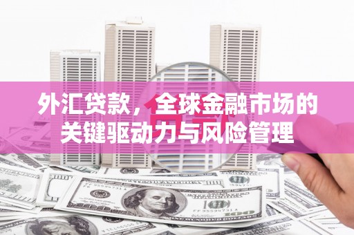 岭东外汇贷款，全球金融市场的关键驱动力与风险管理