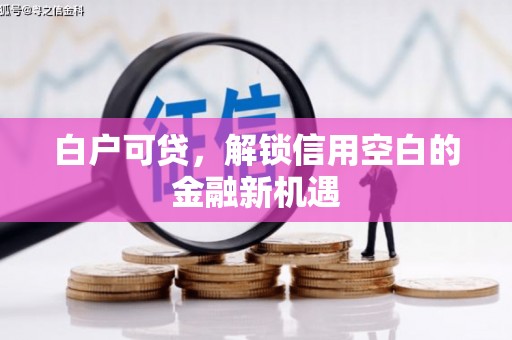 岭东白户可贷，解锁信用空白的金融新机遇