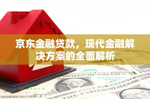 岭东京东金融贷款，现代金融解决方案的全面解析