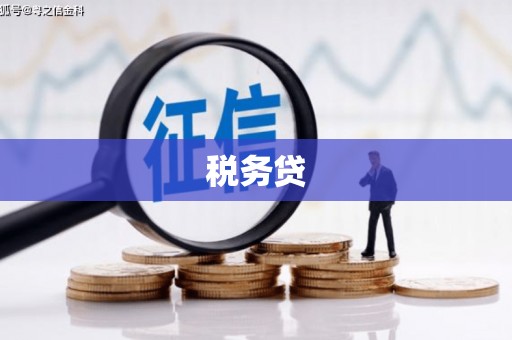 岭东税务贷