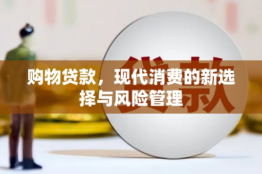 岭东购物贷款，现代消费的新选择与风险管理
