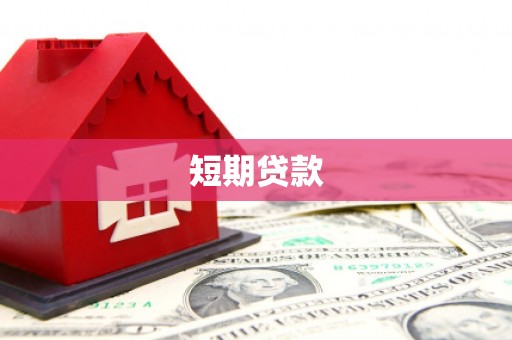 岭东短期贷款