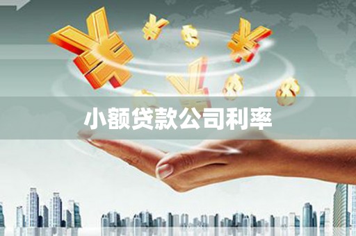 岭东小额贷款公司利率