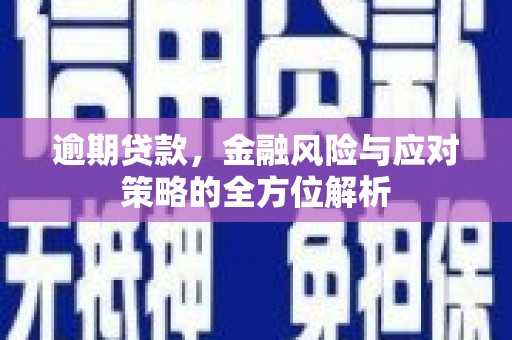 岭东逾期贷款，金融风险与应对策略的全方位解析