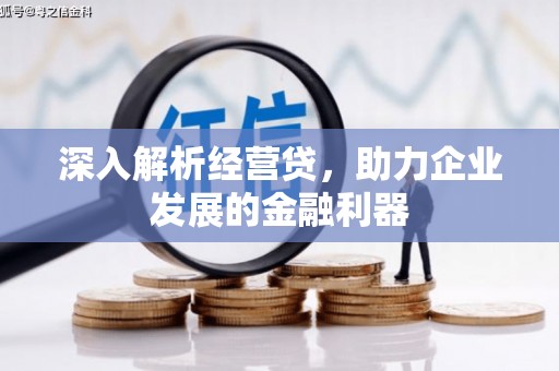 岭东深入解析经营贷，助力企业发展的金融利器