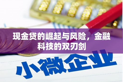 岭东现金贷的崛起与风险，金融科技的双刃剑