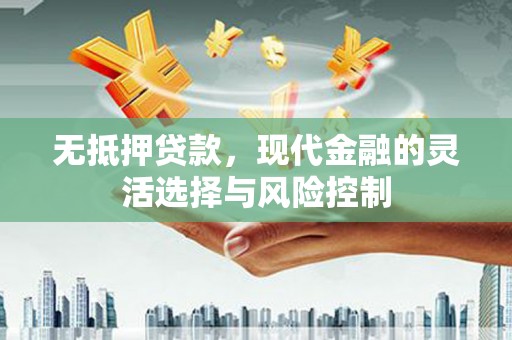 岭东无抵押贷款，现代金融的灵活选择与风险控制