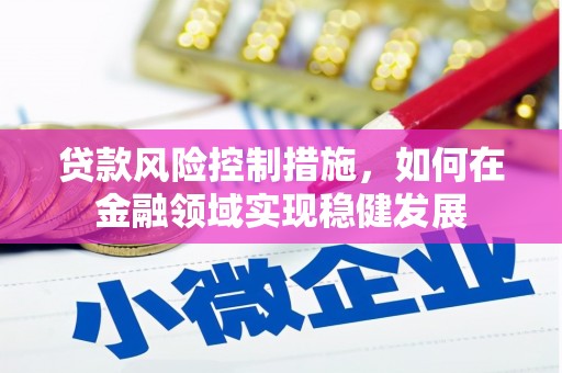 岭东贷款风险控制措施，如何在金融领域实现稳健发展