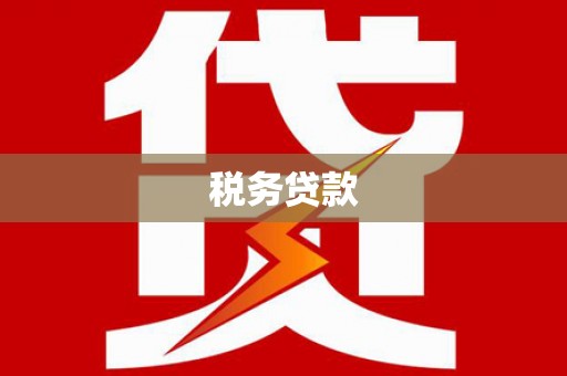 岭东税务贷款